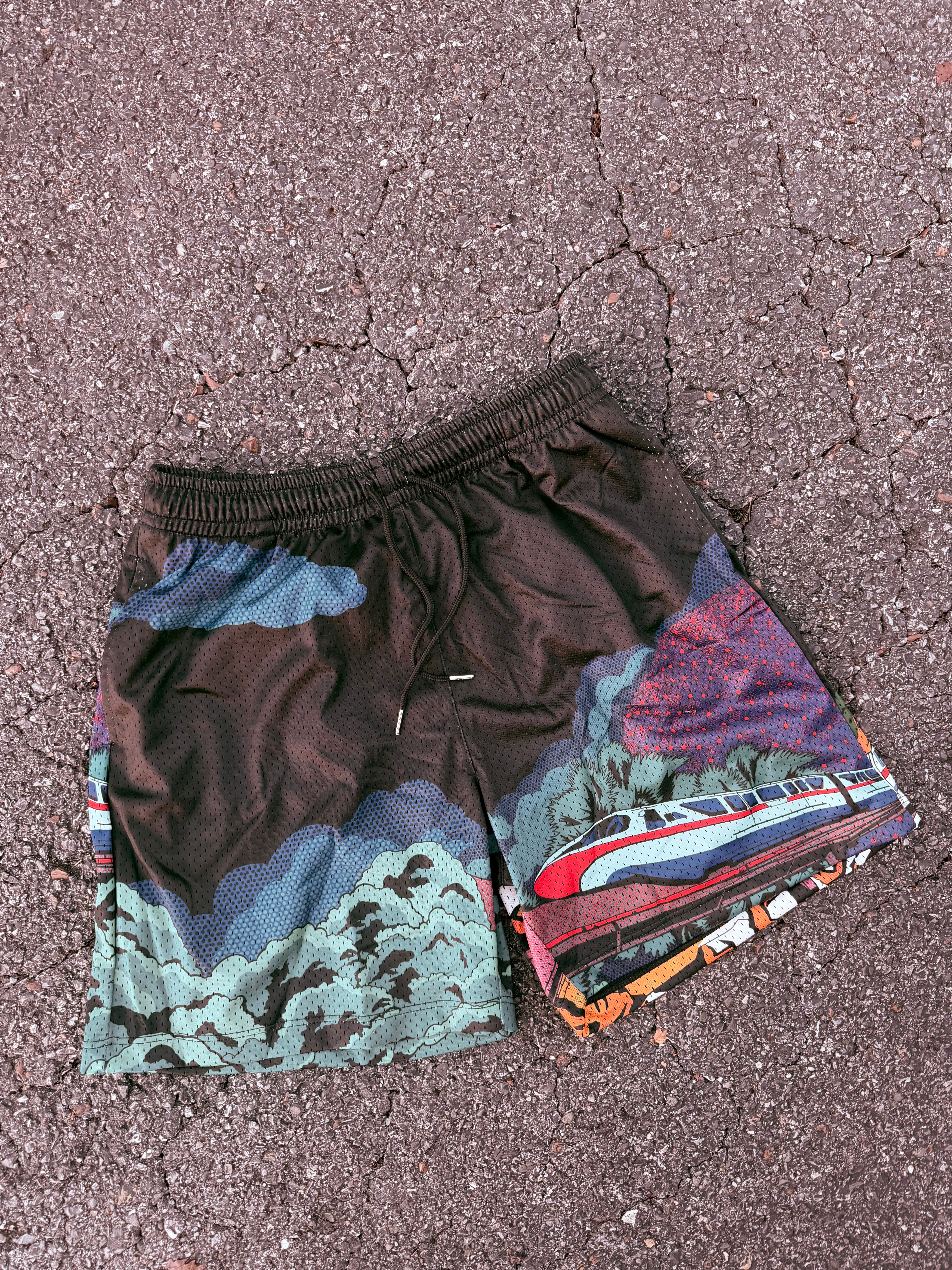 SHORTS - Please Stand Clear of the Farm (READY TO SHIP)