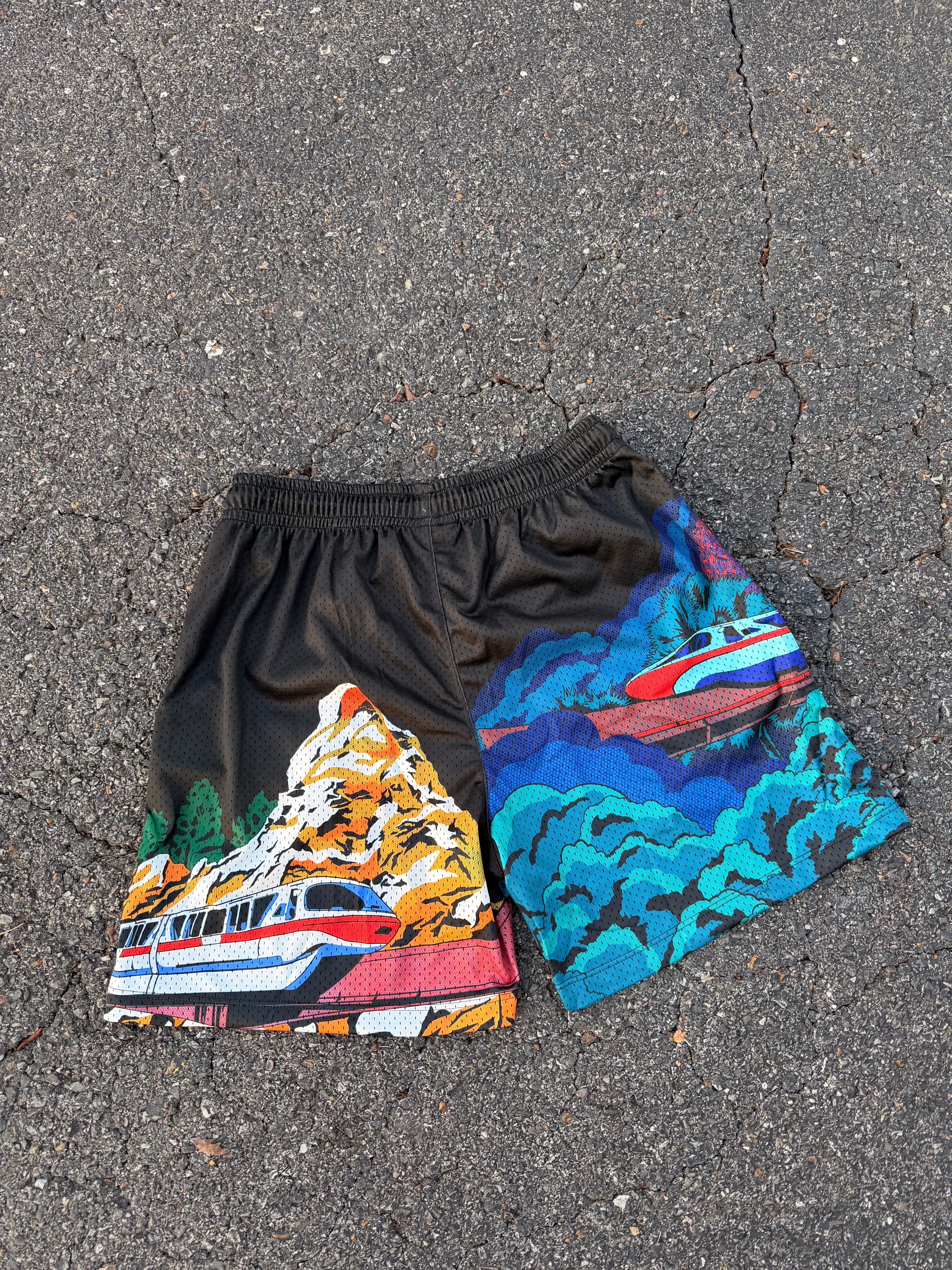 SHORTS - Please Stand Clear of the Farm (READY TO SHIP)