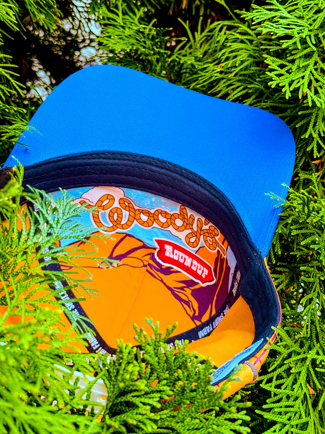 TSF Signature Snapback, "Sheriff"
